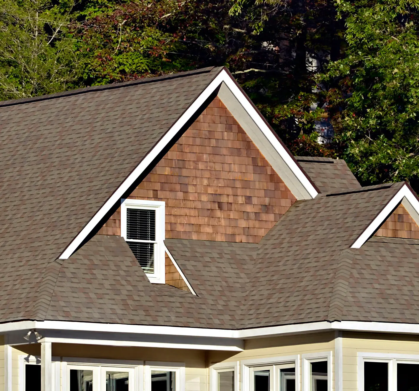 Washed Away - Roof Cleaning - Clean Roof