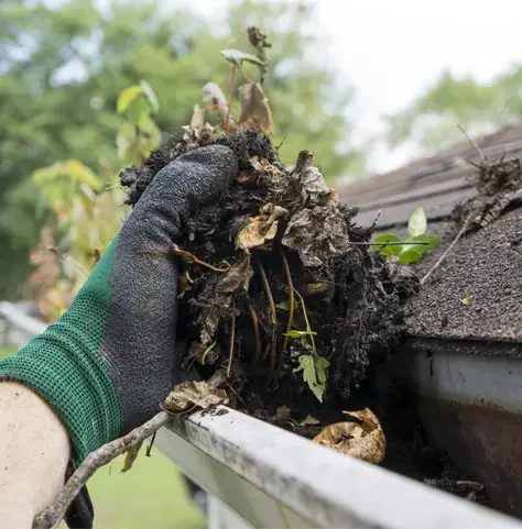 Gutter Cleaning