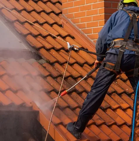 Roof Washing